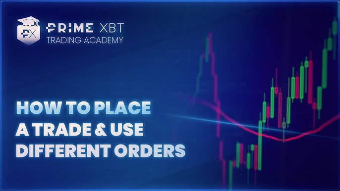 Explore the Diverse PrimeXBT Account Types for Every Trader Explore the Diverse PrimeXBT Account Types for Every Trader