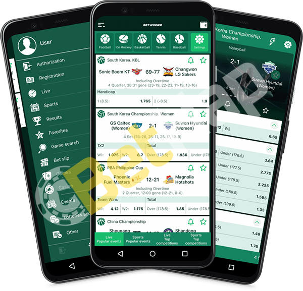 Explorez le monde du pari avec betwinner