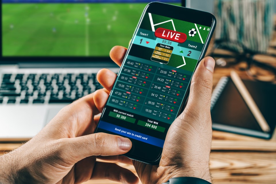Online betting for greyhound racing 2025 11 Online betting for greyhound racing 2025 11
